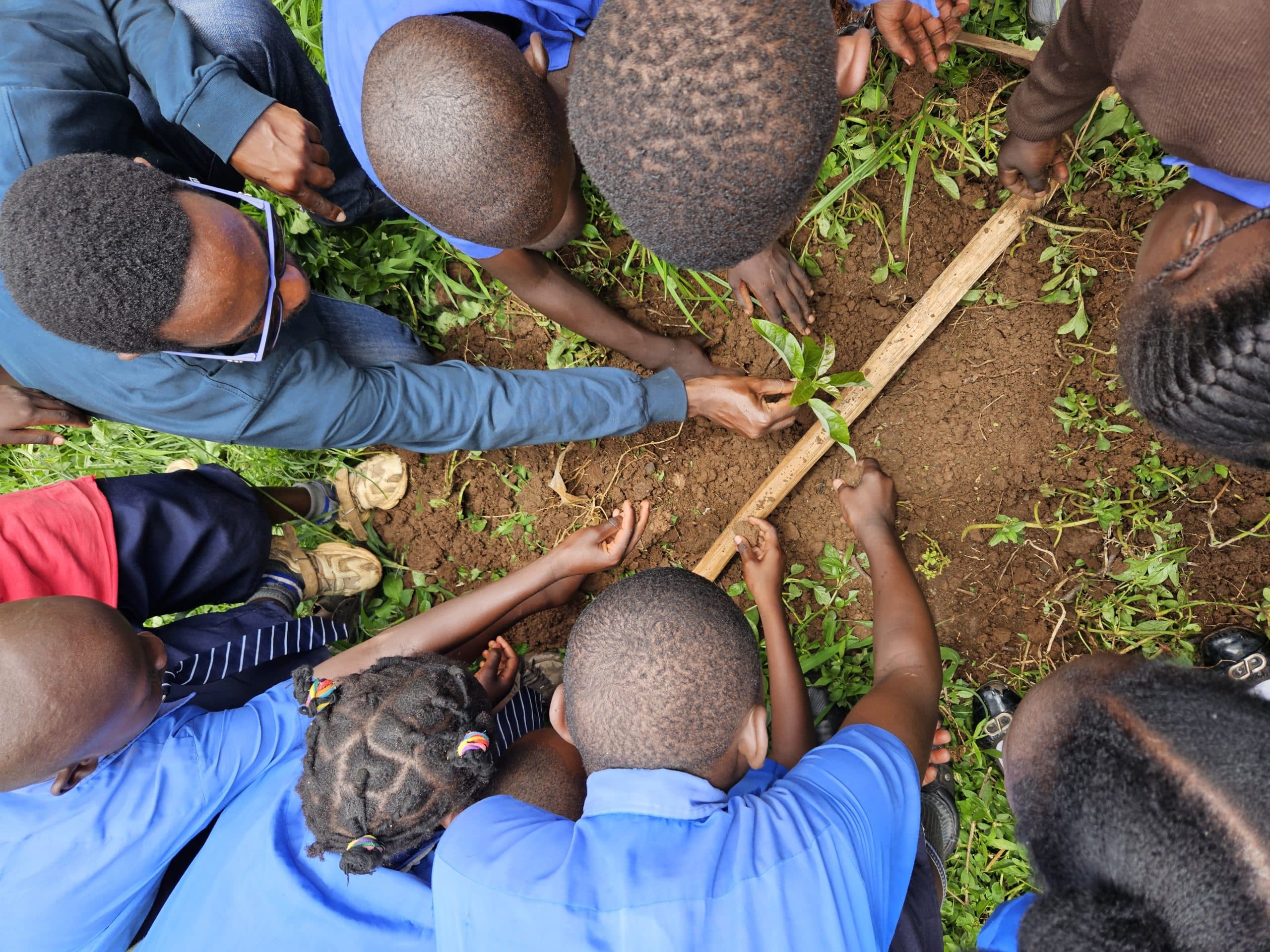Young community members participating in an environmental restoration and awareness activity in Uganda.